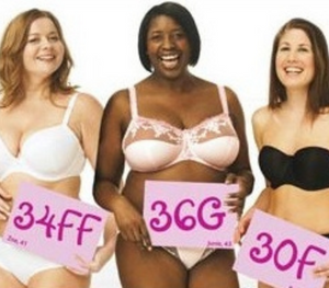 What Size is Considered a Plus Size Bra? - Plus Size Cup Sizes